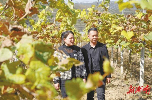 一本“明白账” 一身“泥土香”湘涌新潮⑨